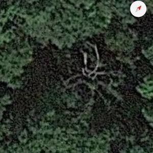 Meet your Posher, Fernando